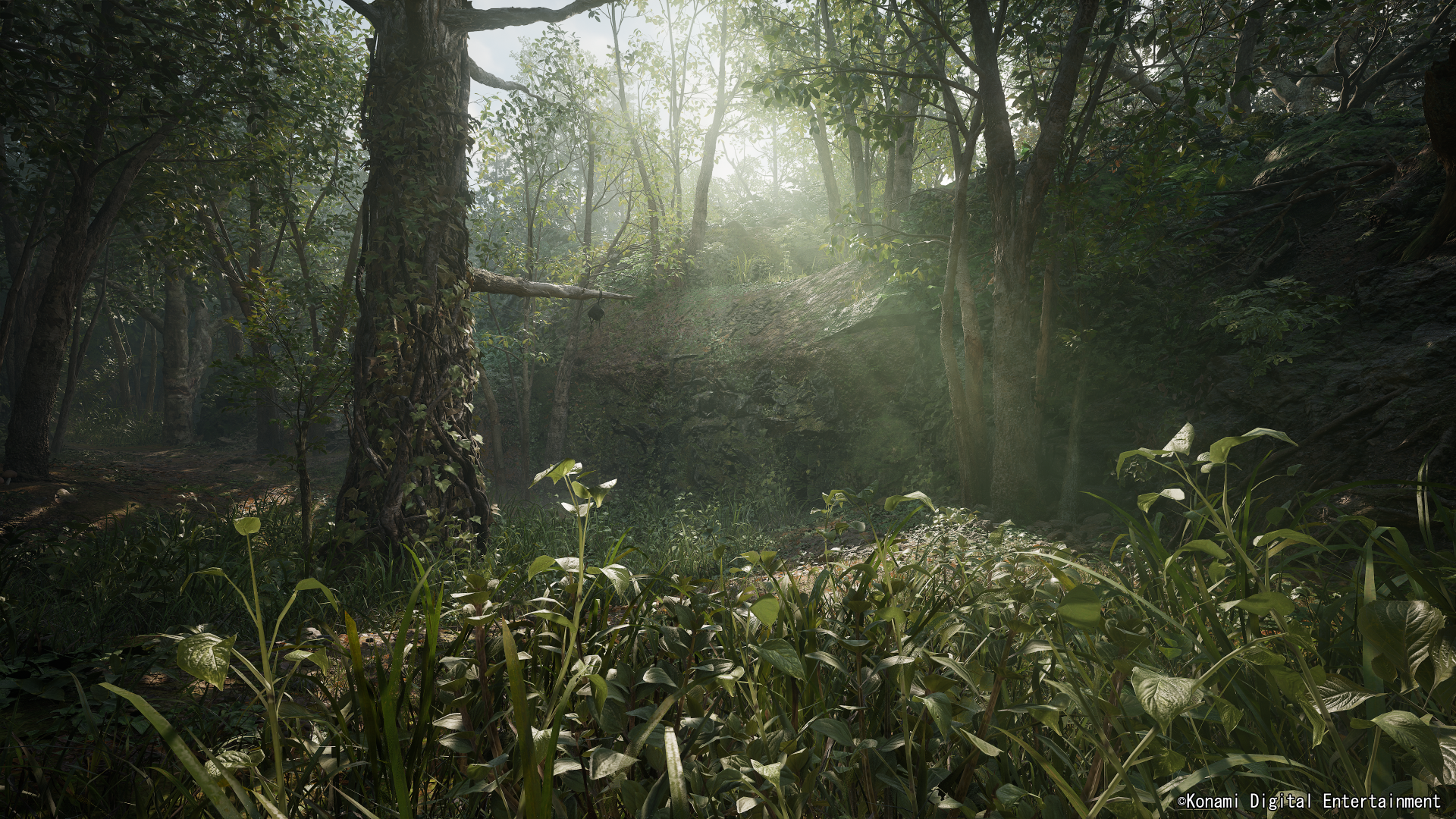 Metal Gear Solid Delta Snake Eater Day